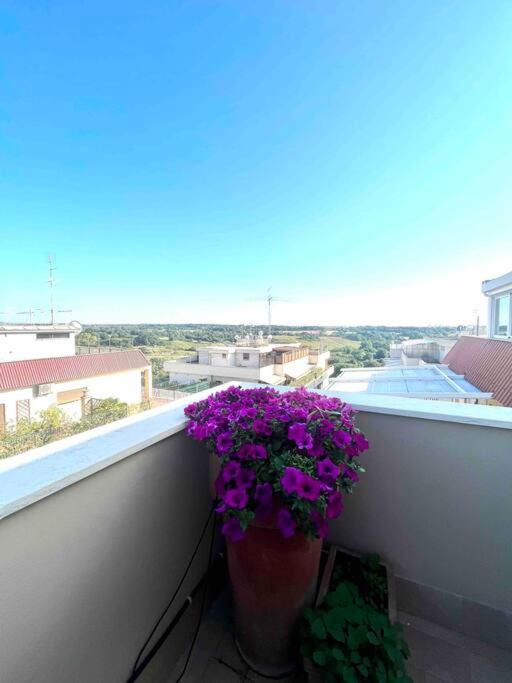Super Attico Sul Parco Della Caffarella Apartamento Roma